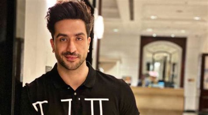 Who is Aly Goni? Wiki, Age, Height, Net Worth, Girlfriend, Ethnicity, Career