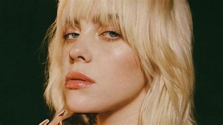 Billie Eilish Paid Tribute To Taylor Hawkins At The Grammys In 2022