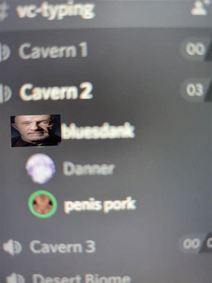 BluesDank- Wiki, Age, Ethnicity, Boyfriend, Height, Net Worth, Career