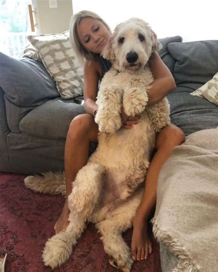 Bo Siemian- Wiki, Age, Husband, Ethnicity, Net Worth, Height, Career