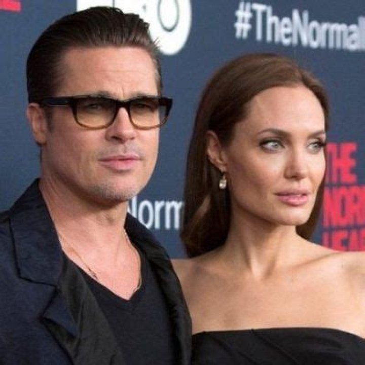 Brad Pitt Accused Angelina Of Selling A Stake In Their Winery Business Without His Consent