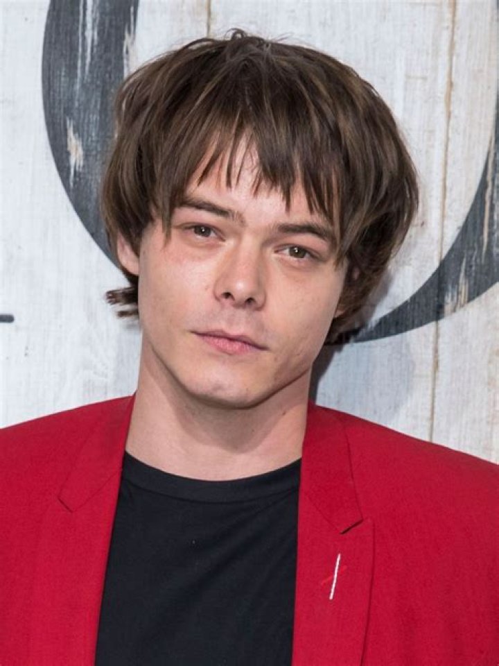 Charlie Heaton- Wiki, Biography, Age, Height, Net Worth, Girlfriend