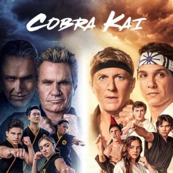 Cobra Kai Co-Creator Clarifies Whether The Upcoming Karate Kid Film Is Related To The Netflix Series