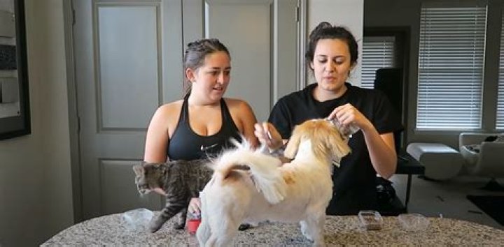 Daylynn Perez- Bio, Age, Height, Net Worth, Husband, Marriage