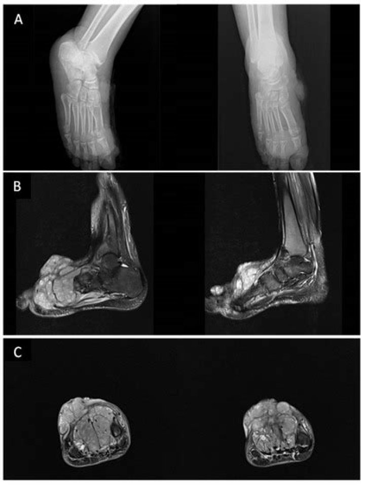 Eemanji- Age, Height, Net Worth, Boyfriend, Career, Nationality