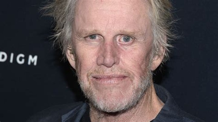 Who Is Gary Busey? Wiki, Age, Height, Wife, Net Worth, Ethnicity