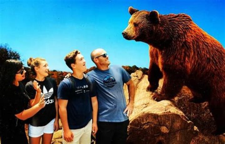 
Who Are Mike And Beth Gross? Meet Grady Gross: Family Details	