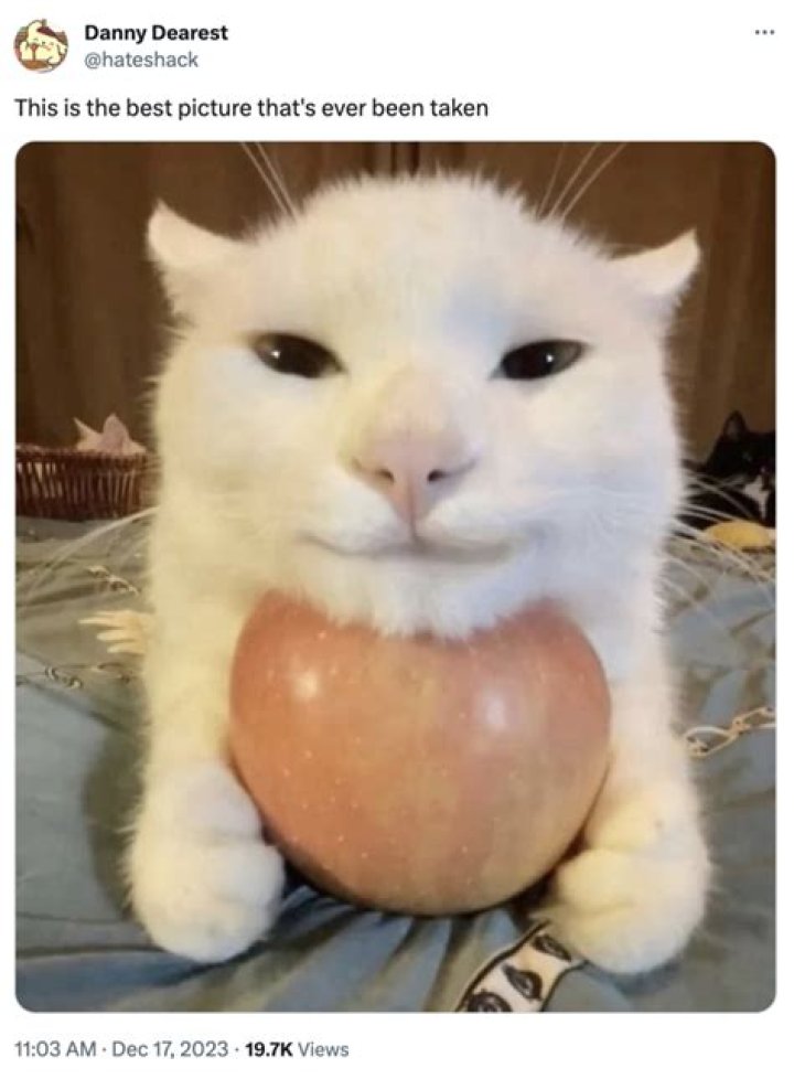 Hateshack- Age, Height, Net Worth, Girlfriend, Career, Nationality