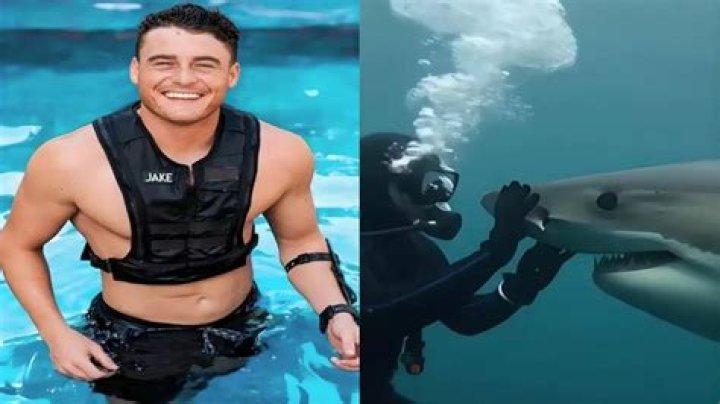 Jake Koehler- Bio, Wiki, Age, Height, Net Worth, Relationship, Career