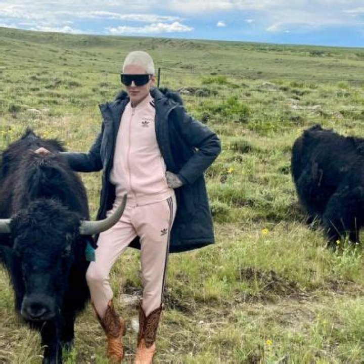 Jeffree Star Was Criticized After Rumors Were Sparked Online About Killing His Pets