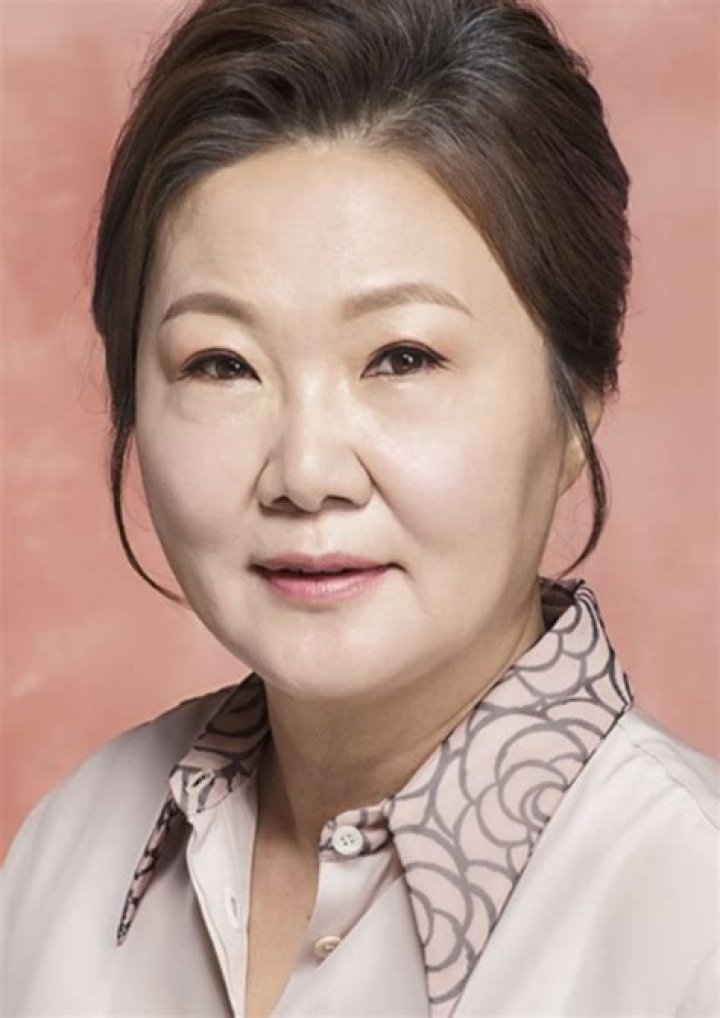 Kim Hae-sook Wiki, Age, Husband, Ethnicity, Net Worth, Height, Career