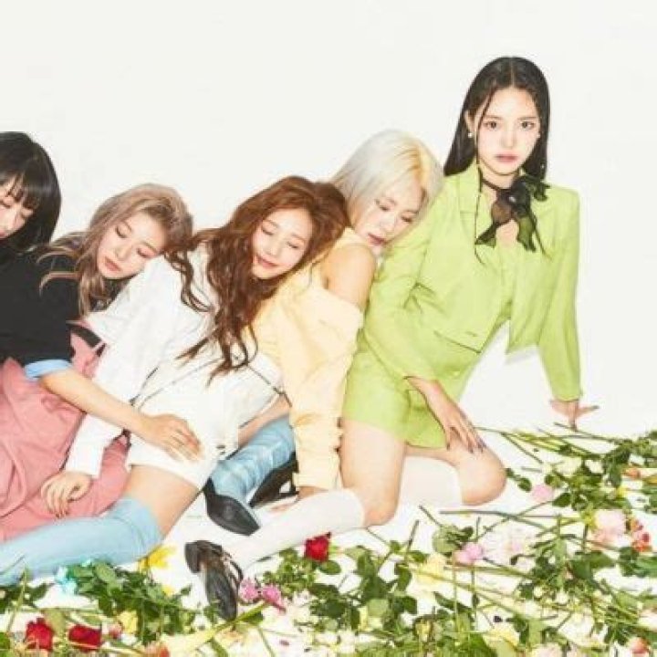 Mimiirose A Freshly K-Pop Group Debuted Under YES IM Entertainment