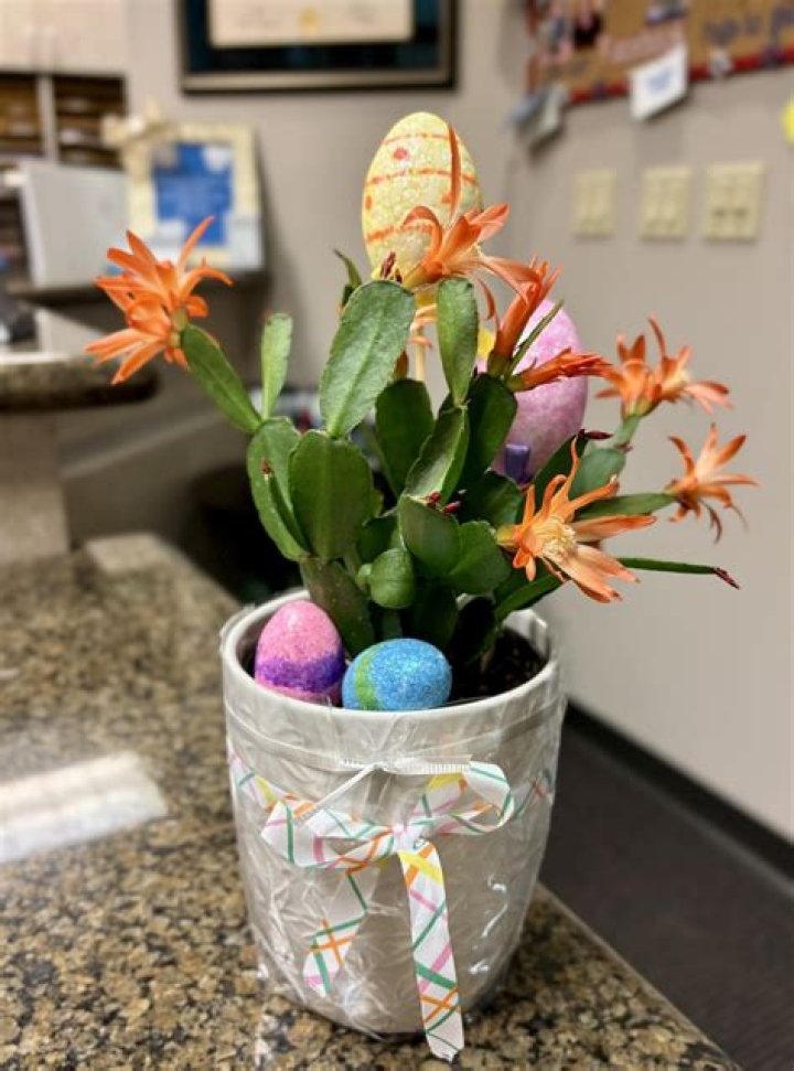 Monique Vu- Age, Net Worth, Height, Boyfriend, Career, Ethnicity