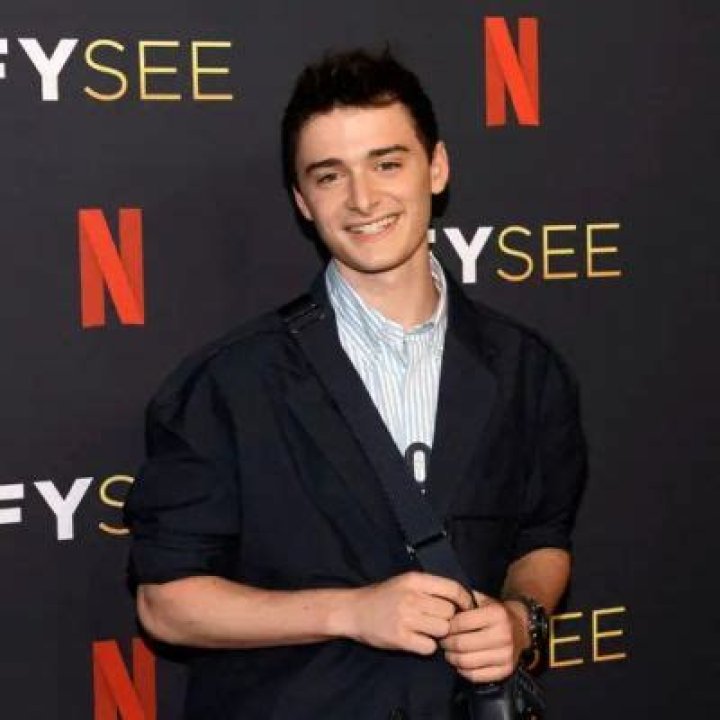 Noah Schnapp Opened Up About Being A Gay On A TikTok Video