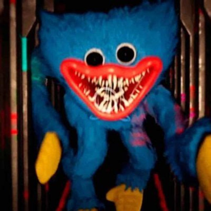 Police Give Warnings To Youngsters Who Have Been Exposed To The Huggy Wuggy TikTok Trend