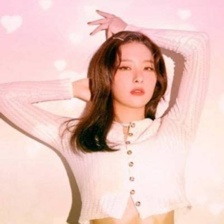Red Velvet Seulgi Will Make Her Long-Awaited Solo Debut In October