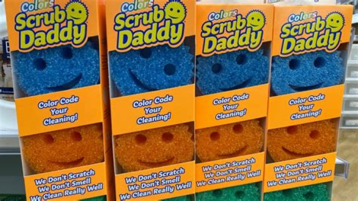 How Much Scrub Daddy Worth? Scrub Daddy Net Worth 2023