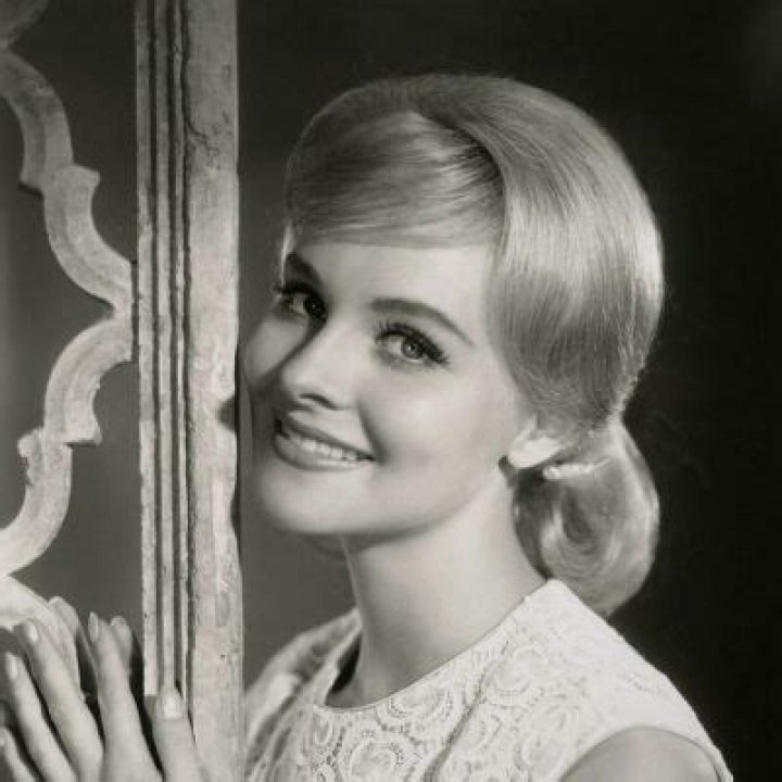 Surfside 6 Star Diane McBain Passed Away At The Age Of 81