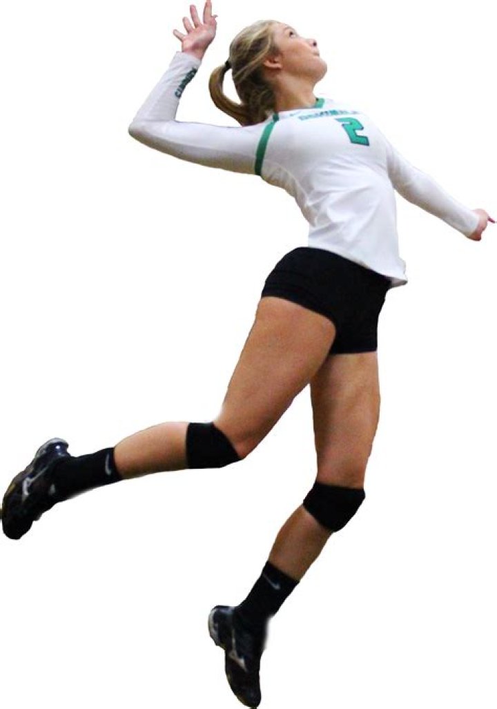 
Who Is Ava Steffe? All About Drew Steffe: Volleyball Player Wiki & Family Details	