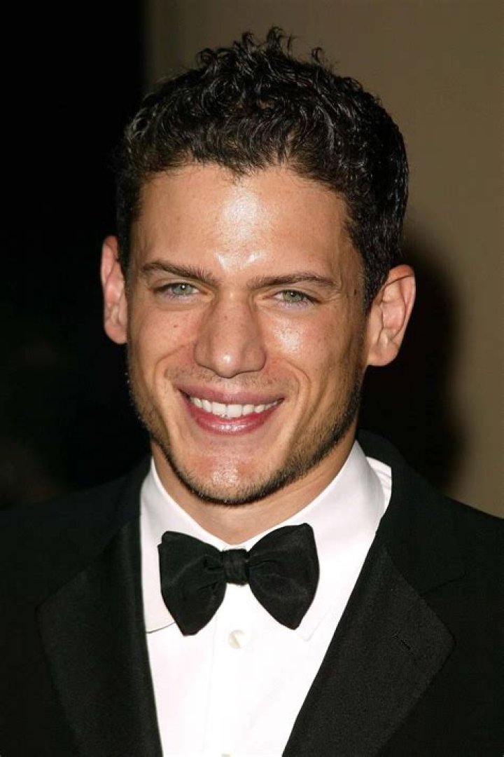 Wentworth Miller- Net Worth, Bio, Age, Wife, Height, Instagram, Career