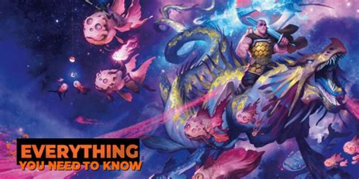 Who Is Conor Reid? Everything You Need to Know About Him