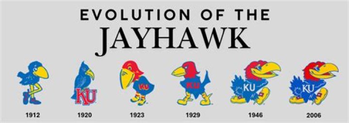 Why Is The University Of Kansas Called Jayhawk?